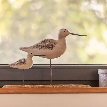 Casa vacanze Strandhaus Wolkenlos *